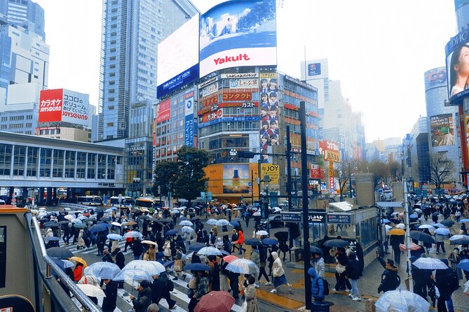 3 Hour Tokyo Roof Bus Tour With a Licensed Guide - Inclusions