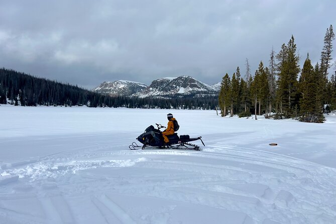 3 Hours Park City Snowmobile Adventure - Inclusions and What to Expect