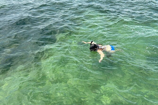 3 Hours Snorkeling Excursion in South Padre Island - Included Amenities and Provisions