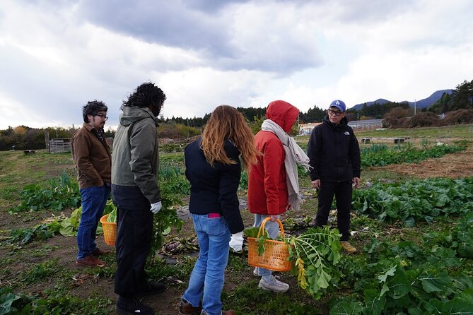 3 Hours Vegetables Harvest Activity Nearby Tokyo - Meeting and End Points