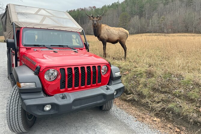 3 HR Smoky Mountain, Cherokee, Blue Ridge Parkway, Jeep Adventure - Vehicle Comfort Features