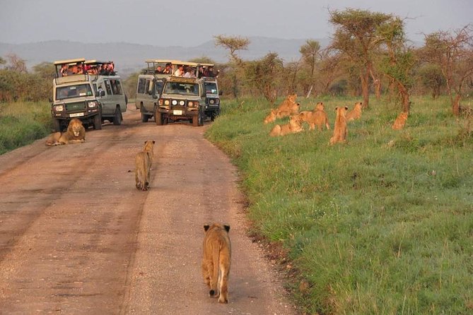 3days Tarangire,Ngorongoro Crater and Lake Manyara - Accommodation Details