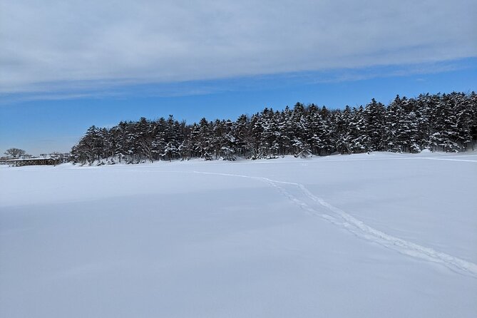 4.5 Hours Snowshoe Hike in Shiretoko Five Lakes - Equipment Rental