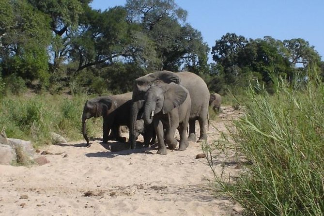 4-Day Best of Eswatini Tour- the African Experience - Accommodations and Meals