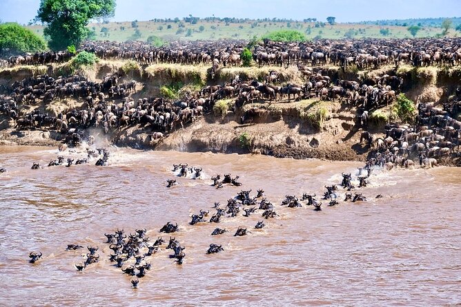 4-Day Northern Tanzania Camping Tour Safari - Itinerary Highlights