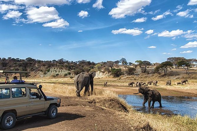 4 Day Private Camping Safari in Serengeti,Ngorongoro and Tarangire National Park - Transportation Details