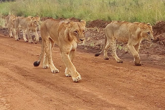 4-Day Tsavo East West and Amboseli National Park From Mombasa - Accommodation Details