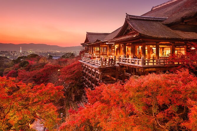 4 Days Private Customizable Tour in Osaka, Nara, Kyoto, Kobe - Transportation and Vehicle Information