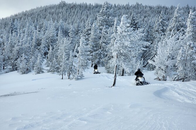 4-Hour Guided Scenic National Monument Snowmobile Tour Review - Scenic National Monument Highlights