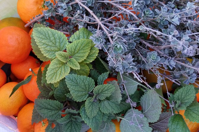 4 Hour Herb Cooking Class in Heraklion - Culinary Offerings