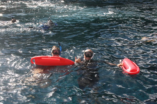 4 Hour Molokini Snorkel Tour Adventure in Maui - Marine Life Encounters