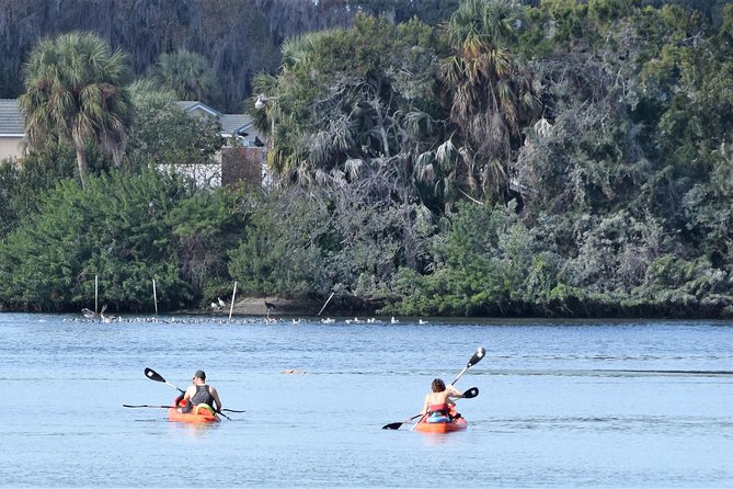 4 Hour Tandem Kayak Rental For Two People In Crystal River, Florida - Booking and Logistics