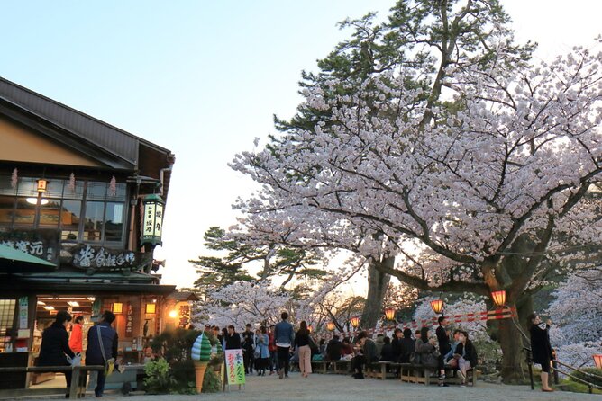 4 Hour Unique Kanazawa Cherry Blossom Sakura Private Experience - Whats Included in the Experience