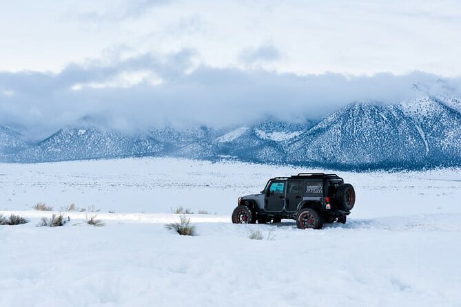4 Hour Vegas Winter Adventure: Mt. Charleston Snow Day - Getting to the Meeting Point