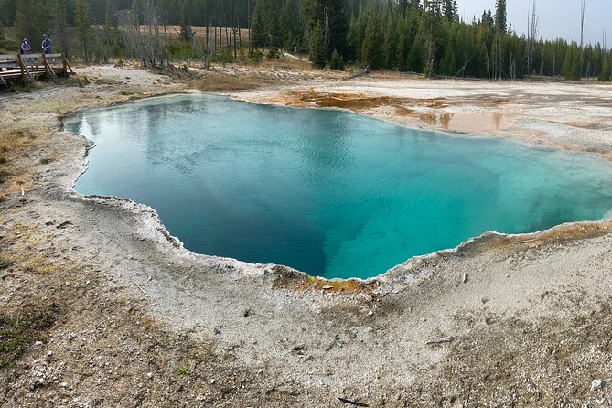 4 Person Full-Day PRIVATE Yellowstone Tour in a Raised Roof Van- Picnic Lunch - Pricing and Booking