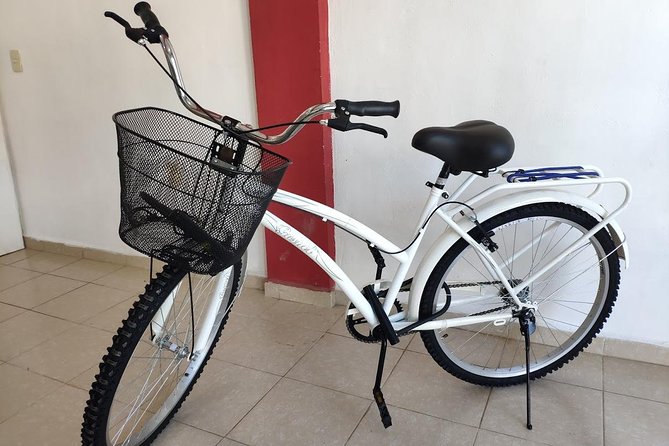 4 to 7 Day Beach Cruiser Rental (Up to 7 Days, Includes Ulock) - Pricing and Inclusions