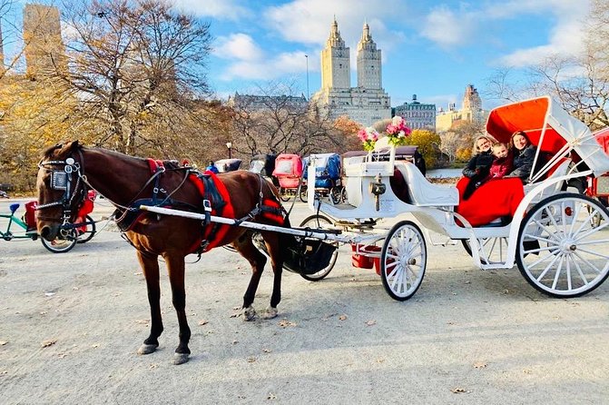 45 Minute VIP Central Park Carriage Ride - Group and Accessibility Information
