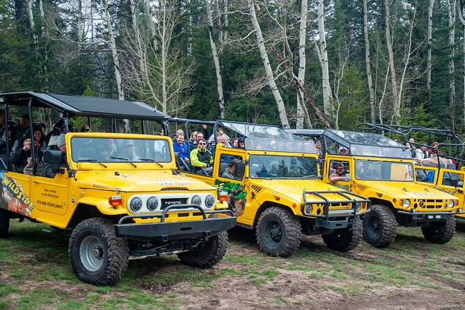 4WD Panoramic Peak Photo Tour in Estes Park - Exploring the Meeting and Pickup Location