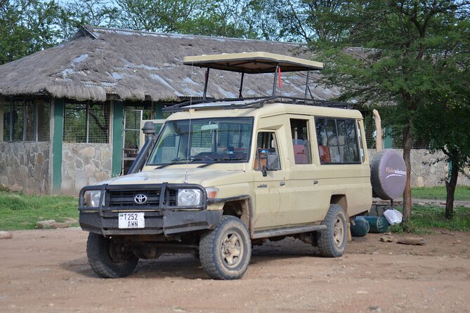 5 Days Private Budget Lodge Safari to Serengeti & Ngorongoro - Accessibility Features
