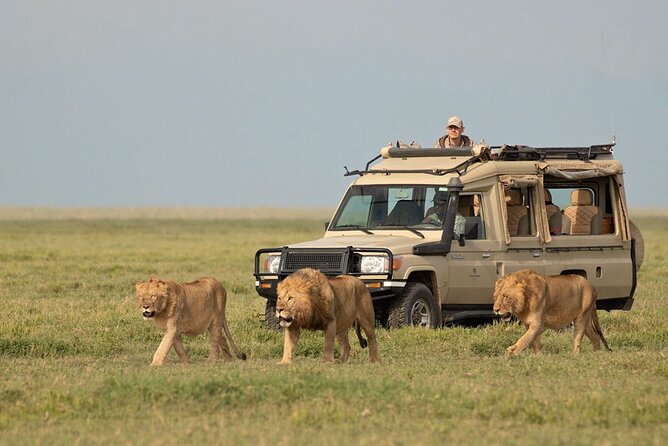 5 Days Serengeti Camping Safari - Itinerary Highlights