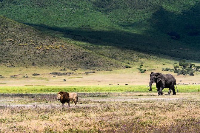 5 Days Tanzania Wilderness Camping Tour. - Daily Itinerary Highlights