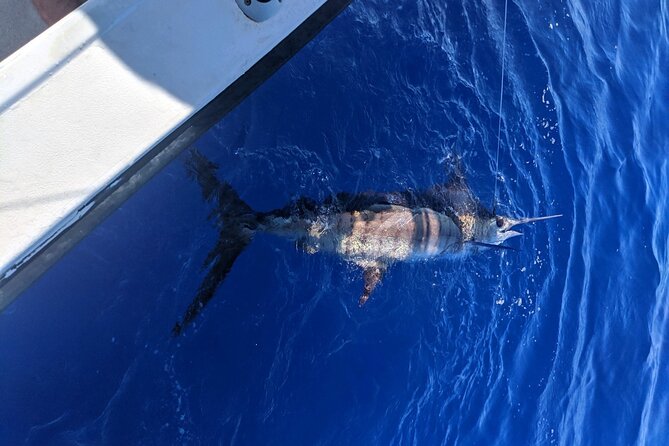 5 Hours Private Fishing Charter in Kailua-Kona - Highlights of the Experience