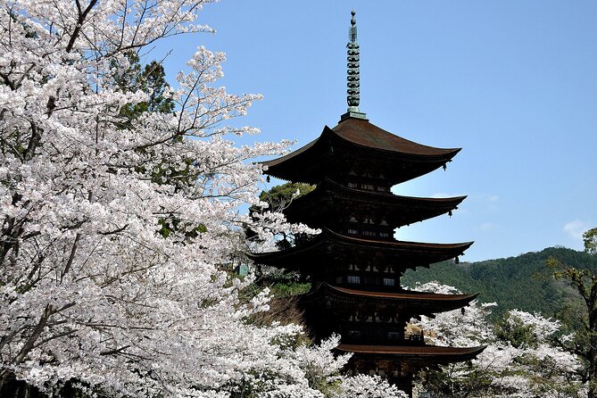 6 Day Private MINIBUS Tour to Kyoto via Fukui From Fukuoka - Pickup and Confirmation
