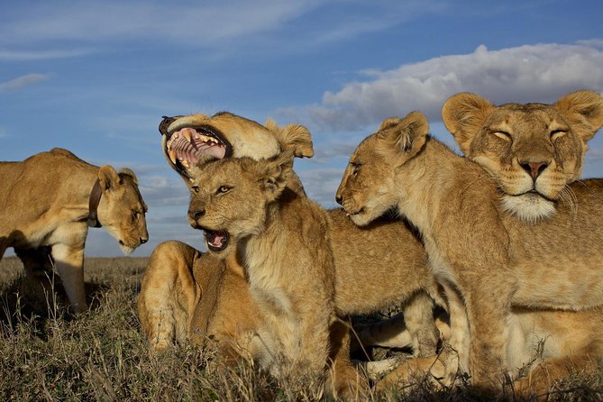 6 Days / 5 Nights Join Group Safari - Meals Included