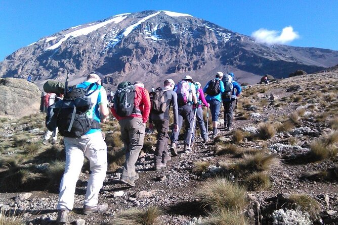 6 Days Kilimanjaro Climbing Machame Route - Daily Itinerary