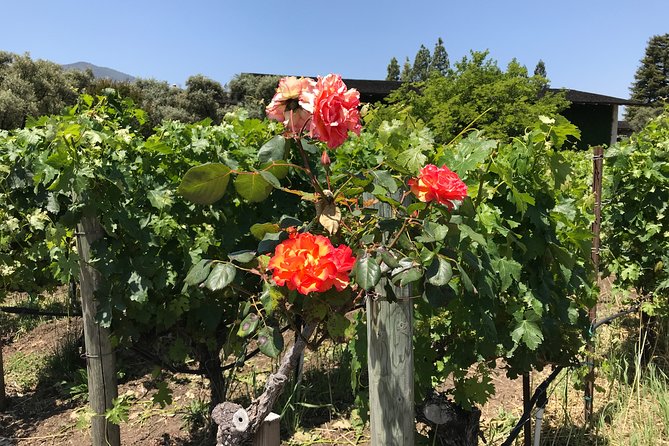 6-Hours Customized Private NAPA Valley Wine Tour From San Francisco Bay Area - Inclusions and Amenities
