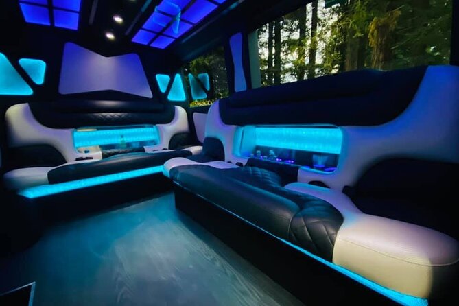 6hr | 7 Passenger Mercedes Sprinter Limo Van Private Tour - Meeting and Pickup