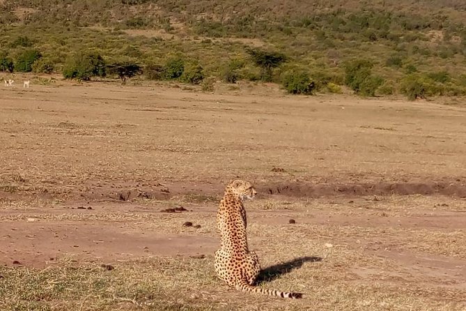 7-Day Samburu, Maasai Mara, L Nakuru, Lake Naivasha Hells Gate - Frequently Asked Questions