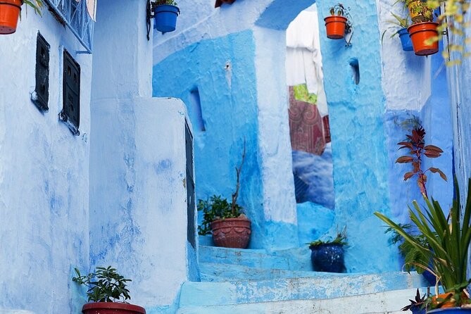 7 Days Tour From Casablanca Visiting Chefchaouen, Fes and Desert, - Exploring Fes