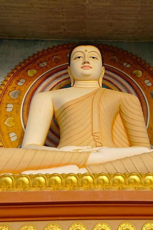 7 Nights in Paradise: Experience Sri Lanka - Nature and Wildlife