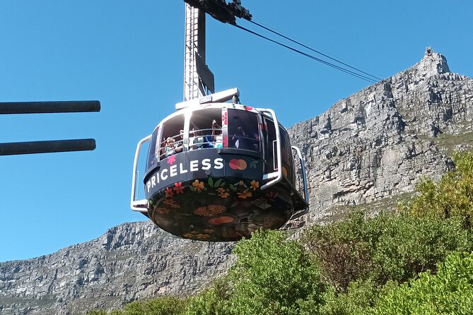 8-Hour Tour in Table Mountain Penguins and Cape of Good Hope - Itinerary Overview