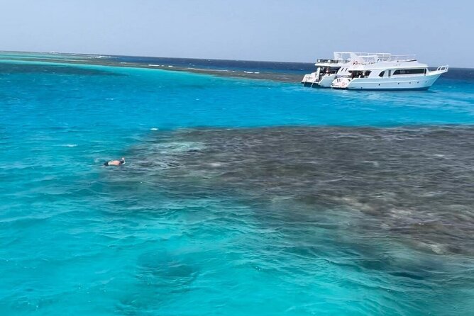8 Hours Swimming Adventure With Dolphins With Lunch in Hurghada - Pickup Information