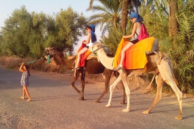 Activities in Marrakech: Camel Ride Tour - Whats Included in the Tour