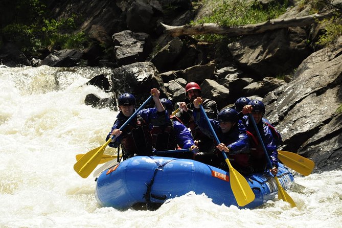 Advanced Whitewater Rafting in Clear Creek Canyon Near Denver - Highlights of the Whitewater Adventure