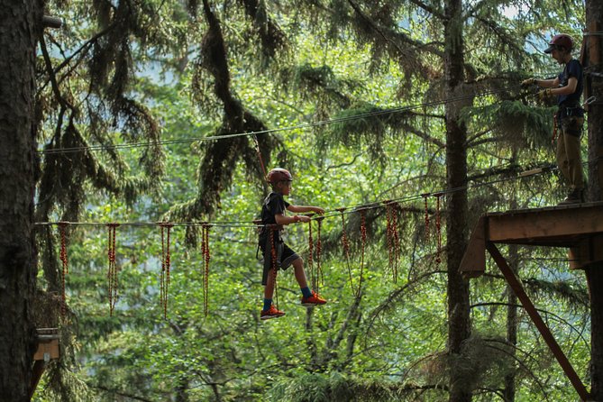Adventure Parks & Zipline Tour - Tour Activities