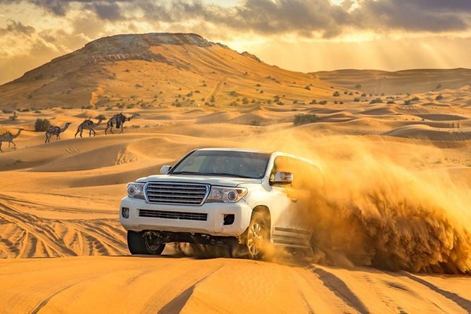 Afternoon Desert Safari With BBQ Dinner - Package Inclusions