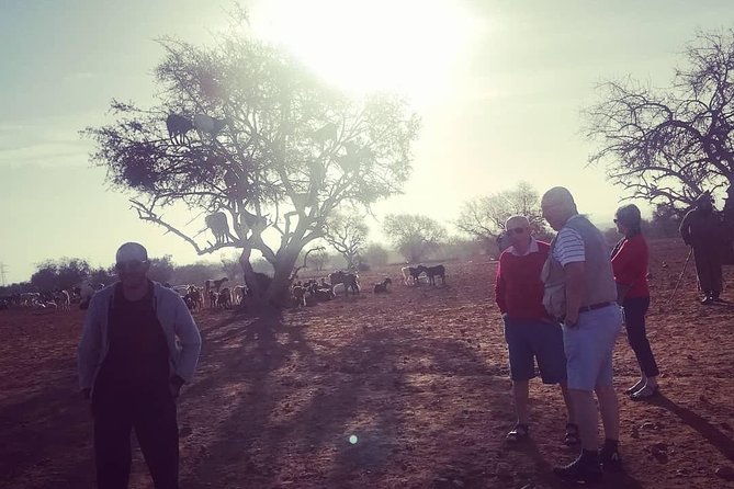 Agadir Day Trip to ​Taroudant & Tiout - Inclusions and Meals