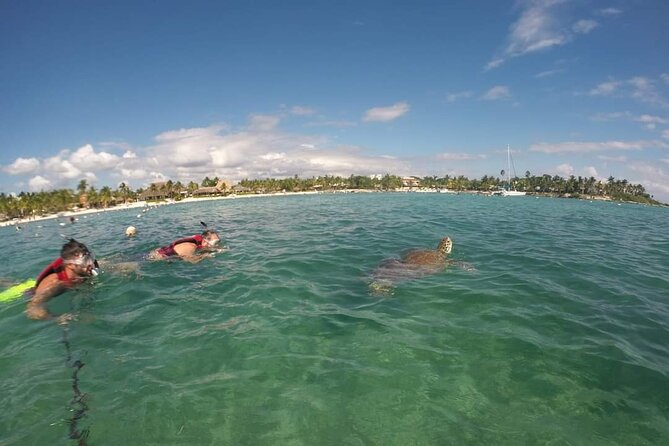 Akumal ,turtles and Gopro - Capturing Moments With Gopro