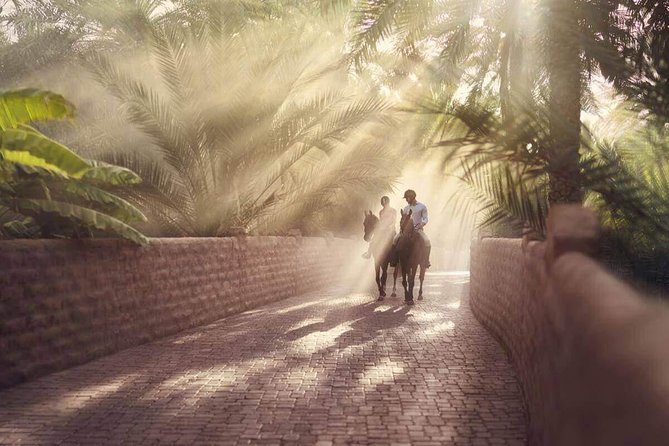 Al Ain City Tour With Lunch - Lunch Experience