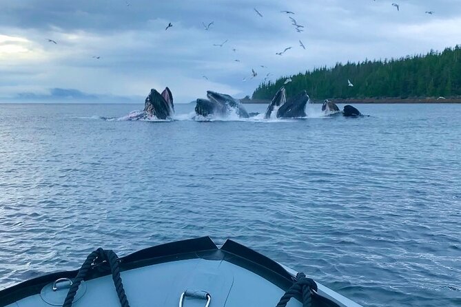 Alaska Marine Fast Boat Adventure - Tour Inclusions and Gear Provided