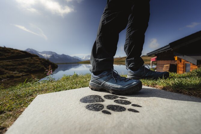 Aletsch Foxtrail Desoria - Experience the Swiss Alps
