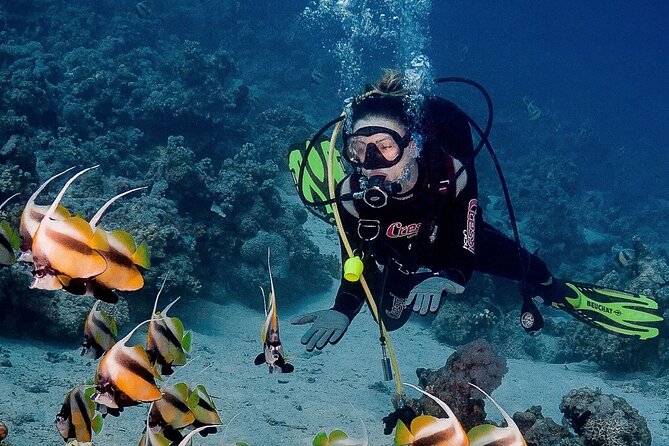 All in One Intro Diving & Snorkeling & Massage & Seafood & Water Sport -Hurghada - Exciting Activities