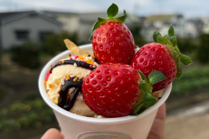 All You Can Eat Strawberry Picking in Izumisano Osaka - Location and Meeting Point