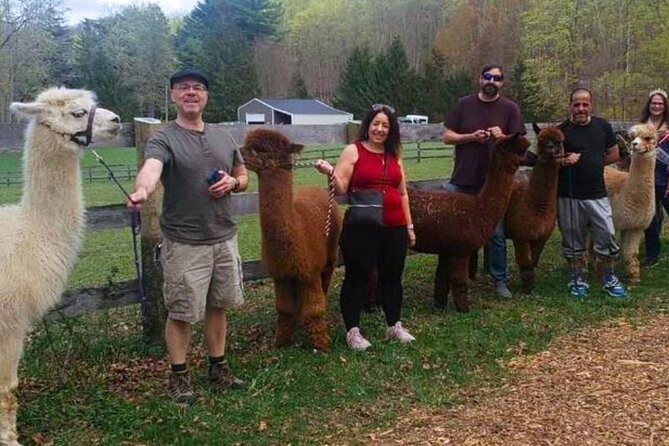 Alpaca and Llama Trek in Pleasant Valley - Meeting Point and Pickup