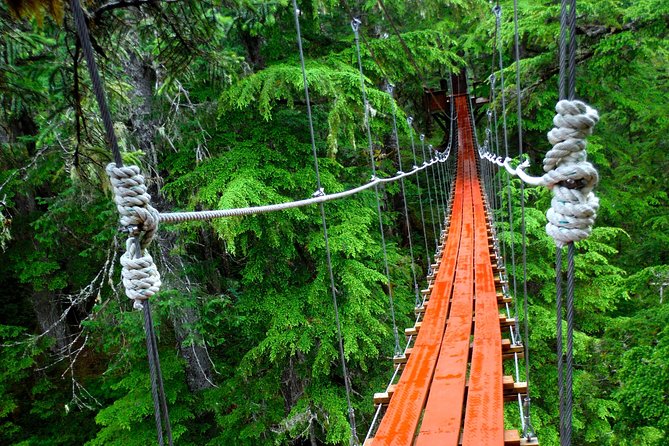 Alpine Zipline Adventure in Juneau, AK - Scenic Highlights of the Tongass National Forest