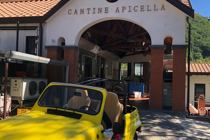 Amalfi Coast Vintage Tour With Cheese and Wine Tastings - Inclusions and Exclusions
